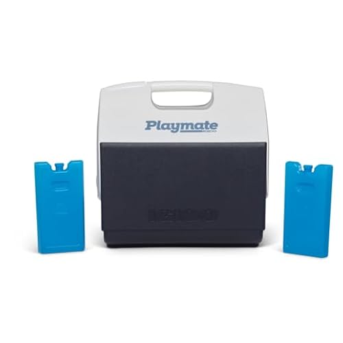 Igloo Maxcold Ice Block