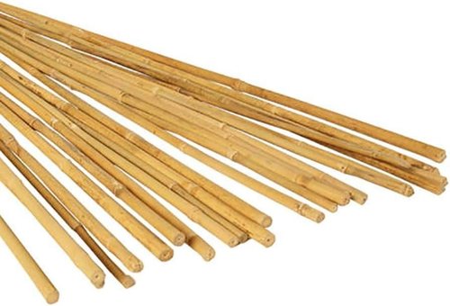 GROW!T Bamboo Stakes - 4 Foot Natural Support for Plants | Pack of 25 in Tan Color