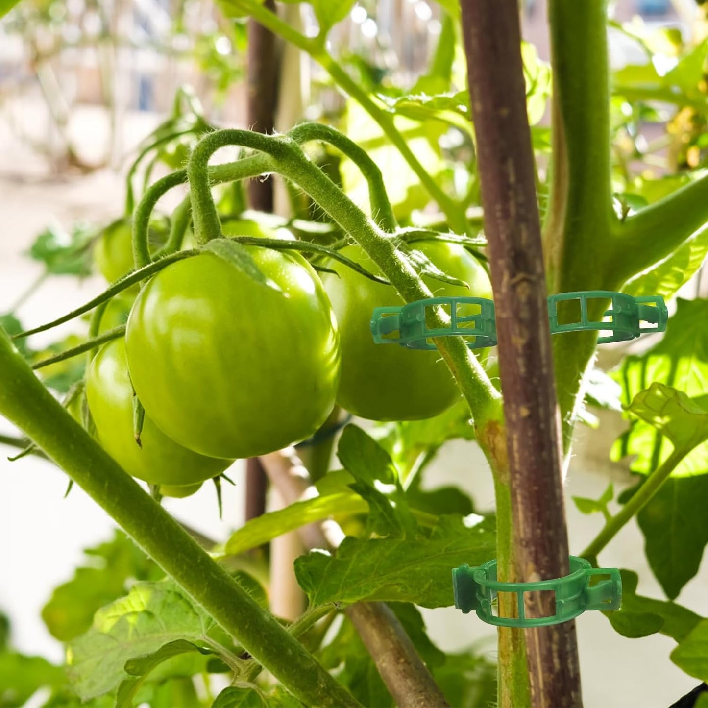OJYUDD Plant Support Clips - 300 Pcs Plastic Tomato Clips for Climbing Plants | Green