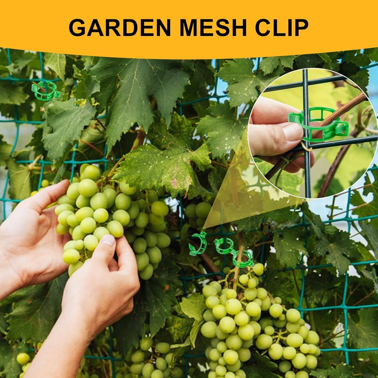 Regine Switzerland 200Pcs Plant Support Clips - Durable Tomato & Grape Vine Clamps for Garden Netting (Green)
