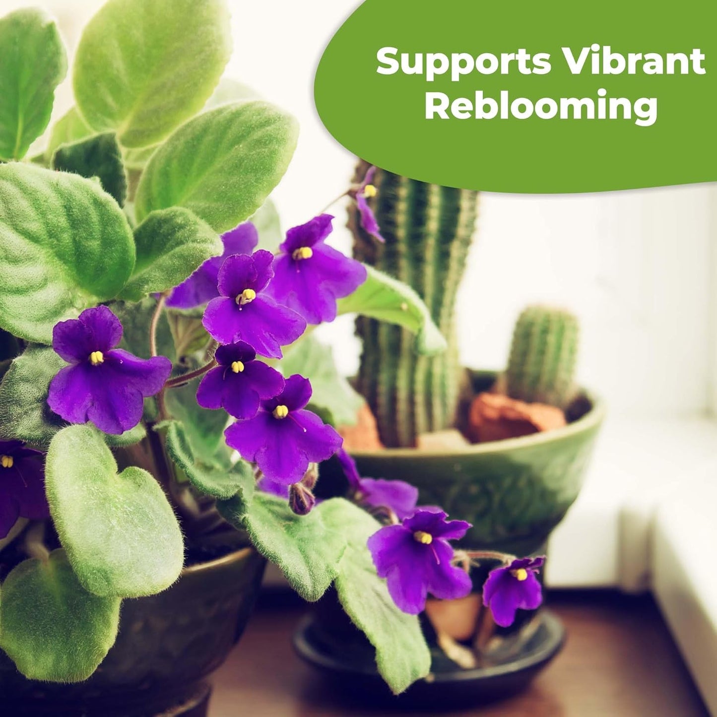 Perfect Plants Liquid African Violet Food Drops - Premium Fertilizer for Indoor Flowering Plants | NPK 2-2-2 (4oz)
