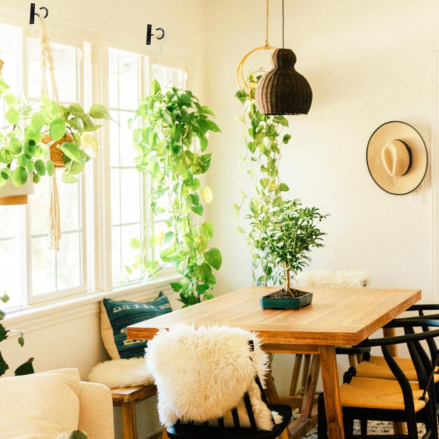 Skiennix Ceiling Hooks - 2.5-Inch Plant Hangers for Indoor/Outdoor Use | Durable Wall Hooks for Pots & Decor