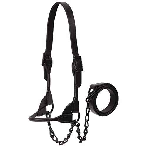 Weaver Leather Livestock Black Magic Show Halter , Medium