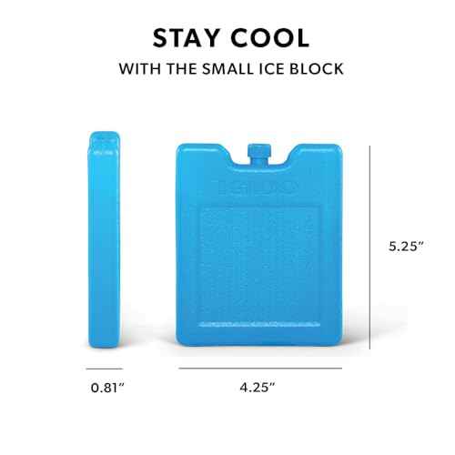 Igloo Maxcold Ice Block