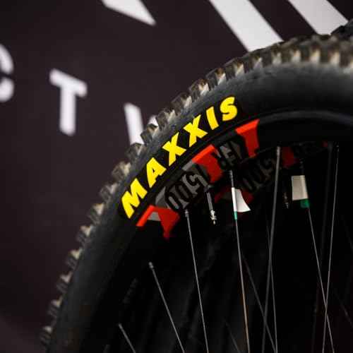 Maxxis Pace - 29x2.10 - Mountain Bike Tire, Dual Compound with EXO Puncture Protection, Tubeless Ready, E25, 53-622