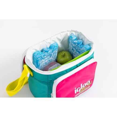 Igloo Maxcold Ice Block