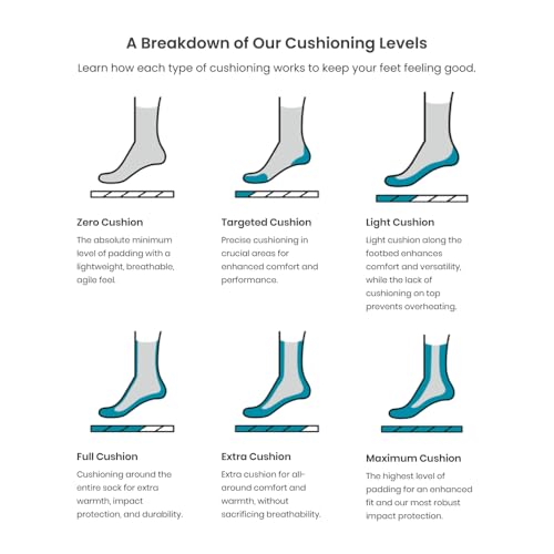 Smartwool Women's Run Targeted Cushion Low Ankle Socks