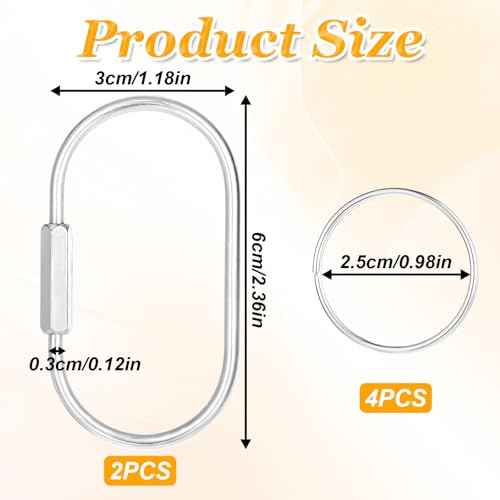 6Pcs Gold Brass Key Rings Screw Lock Key Organizer Metal Carabiner Keychain Clip Making Kit Flat O Split Ring Hooks for Keychains Purse Bag Charms for Handbags (silver)