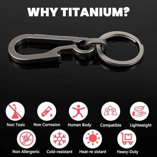 Sibba 2 Pcs Titanium Carabiner Keychain Clip Carabin Hook Small Heavy Duty Keychain Grips Multifunctional Backpack Clasps Anti Lost Quick Release Key Chain Organizer Accessory for Waist Pack