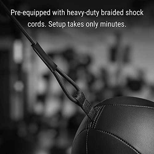Hayabusa Double Ended Bag Classic Sphere - Black, 12 Inches