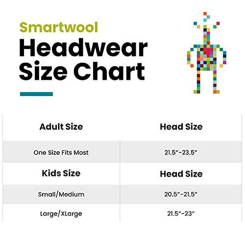 Smartwool Unisex-Adult The Lid