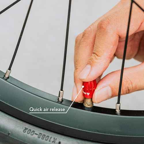 Granite Juicy Nipple Valve Cap with Valve Core Removing Function, Tire Valve Caps Dust Covers for Bikes and Vehicles, Durable Alloy Schrader Valve Cap, 2-Piece Set (Black)