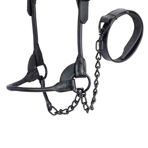 Weaver Leather Livestock Black Magic Show Halter , Medium