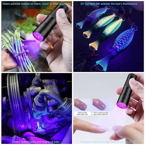 BEIKE UV Blacklight Flashlights, 12 LED 395nm Ultraviolet Blacklight (2 PCS) ? Mini Portable UV Detector for Dog Urine, Pet Urine Detector Light for Stains, Bed Bugs, Resin Curing£¬Scorpions Finder