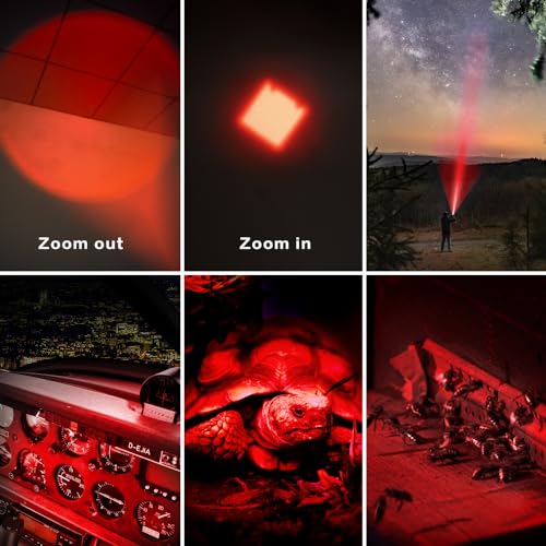 3 Pack Multi-Colored Light Flashlight Set: Red, Green, Blue LED Flashlights for Night Activities, Optical Effects