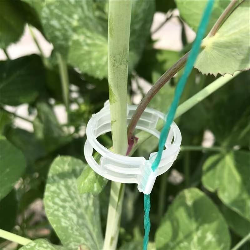 Piteno® Tomato Clips - 300 Pcs Plastic Trellis Support for Healthy Garden Growth | Ideal for Vegetables & Vines