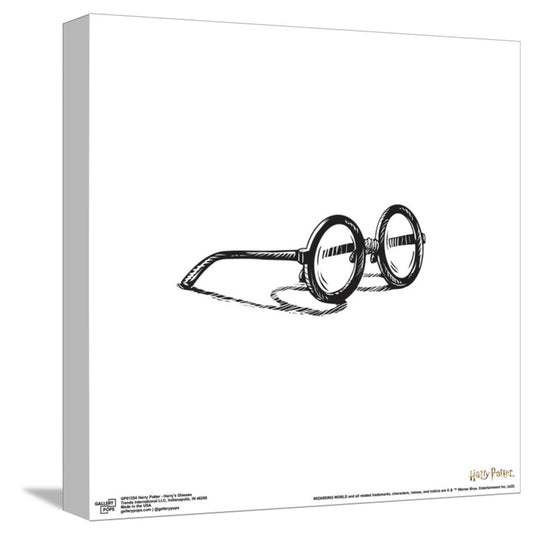 Gallery Pops Harry Potter - Harry's Glasses Canvas Wall Art, Unframed Version, 12" x 12" Gallery Pops Canvas Wall Art