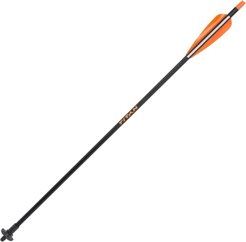 AC ALLEN Crossbow Bolts - 20-Inch Carbon Arrows for Precision Shooting