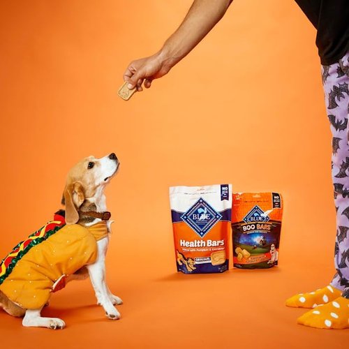 Blue Buffalo Health Bars - Crunchy Dog Biscuits with Natural Ingredients | Pumpkin & Cinnamon, 16 oz Bag