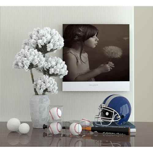 12 Pack Baseball Display Case UV Protected Acrylic Clear Baseball Holder Square Cube Ball Protector Memorabilia Autograph Display Box for Official Size Baseball