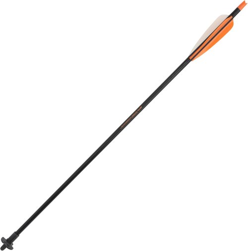 AC ALLEN Crossbow Bolts - 20-Inch Carbon Arrows for Precision Shooting