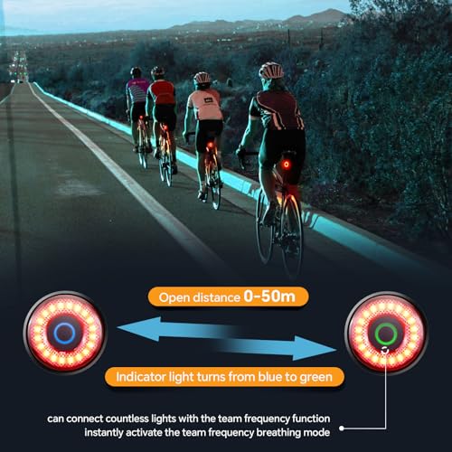 Smart Bike Tail Lights, Brake Sensing Bicycle Rear Lights for Night Riding, Ultra Brigh LED Taillights Auto On/Off, Easy Mount Cycling Safety Brake Taillight, USB Rechargeable, IPX6 Waterproof