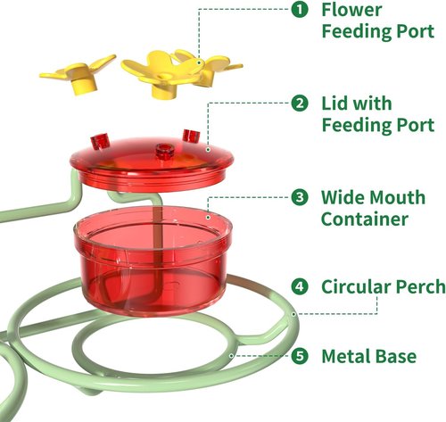 Dreamdrawer Hummingbird Feeder - Small Outdoor Feeder with Strong Suction Cup, Metal Base & 6 Ports