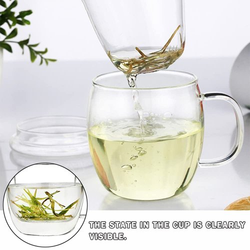 Bunhut Glass Tea Cup with Infuser and Lid,500ml (17oz) Borosilicate Glass Tea Mugs for Loose Leaf Tea,Glass Tea Cups with Filter for Black Tea,Great Loose Tea-leaf Brewing System