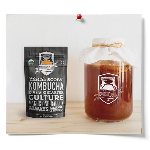 Fermentaholics ORGANIC Kombucha SCOBY With Twelve Ounces of Starter Tea - Live Starter Culture - Makes A One Gallon Batch - 1.5 Cups of Strong Mature Starter Tea - Brew Your Own Kombucha (1 Pack, 1, Count)