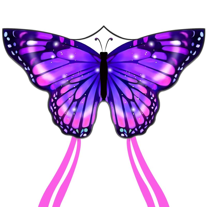 Flying Hoofer Large Butterfly Kite for Adults and Kids Ages 4-8 & 8-12 Easy to Fly, 55''X28'' Single Line Kite for Outdoor, Park or Beach.(Purple)