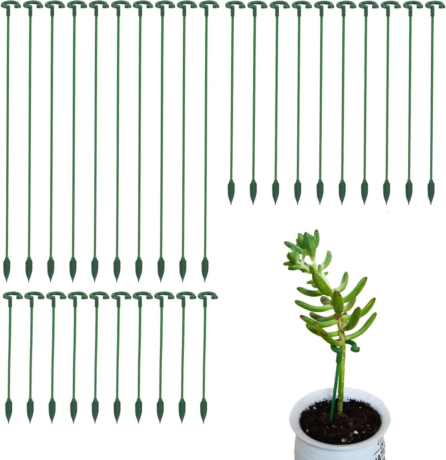 Small Plant Stakes by [Brand Name] - Pack of 30 Indoor Plant Support Stakes | 3 Sizes for Orchids, Roses & Succulents
