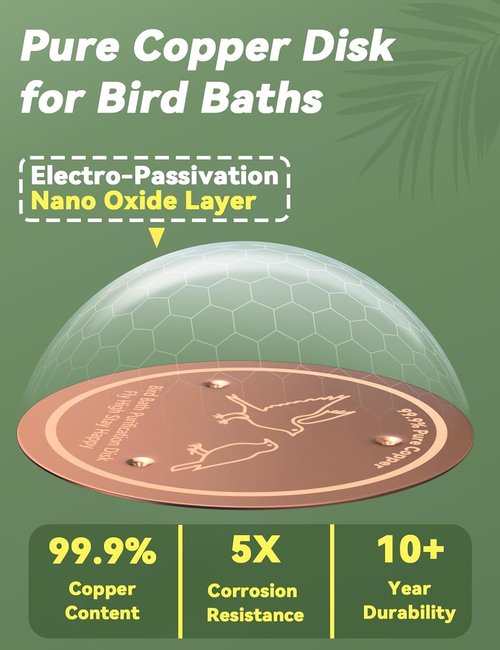 CNARIO Copper Disk for Bird Baths - 99.99% Pure Copper Cleaning Solution, 0.6mm Thick, All-Season Use