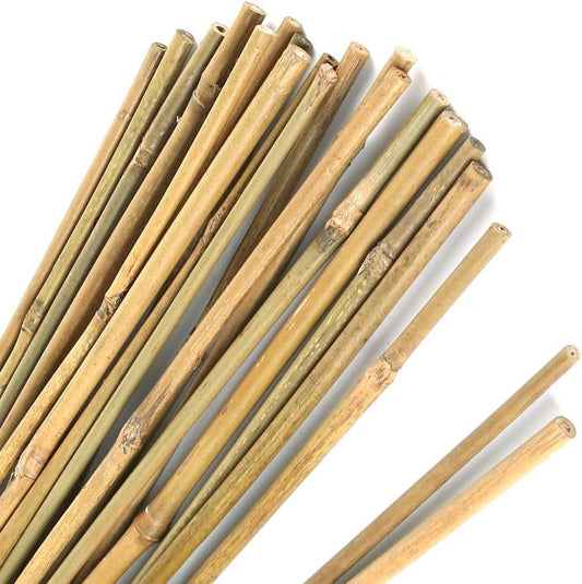 Pllieay Natural Bamboo Garden Stakes - 20PC 16-Inch Plant Support for Indoor/Outdoor Use