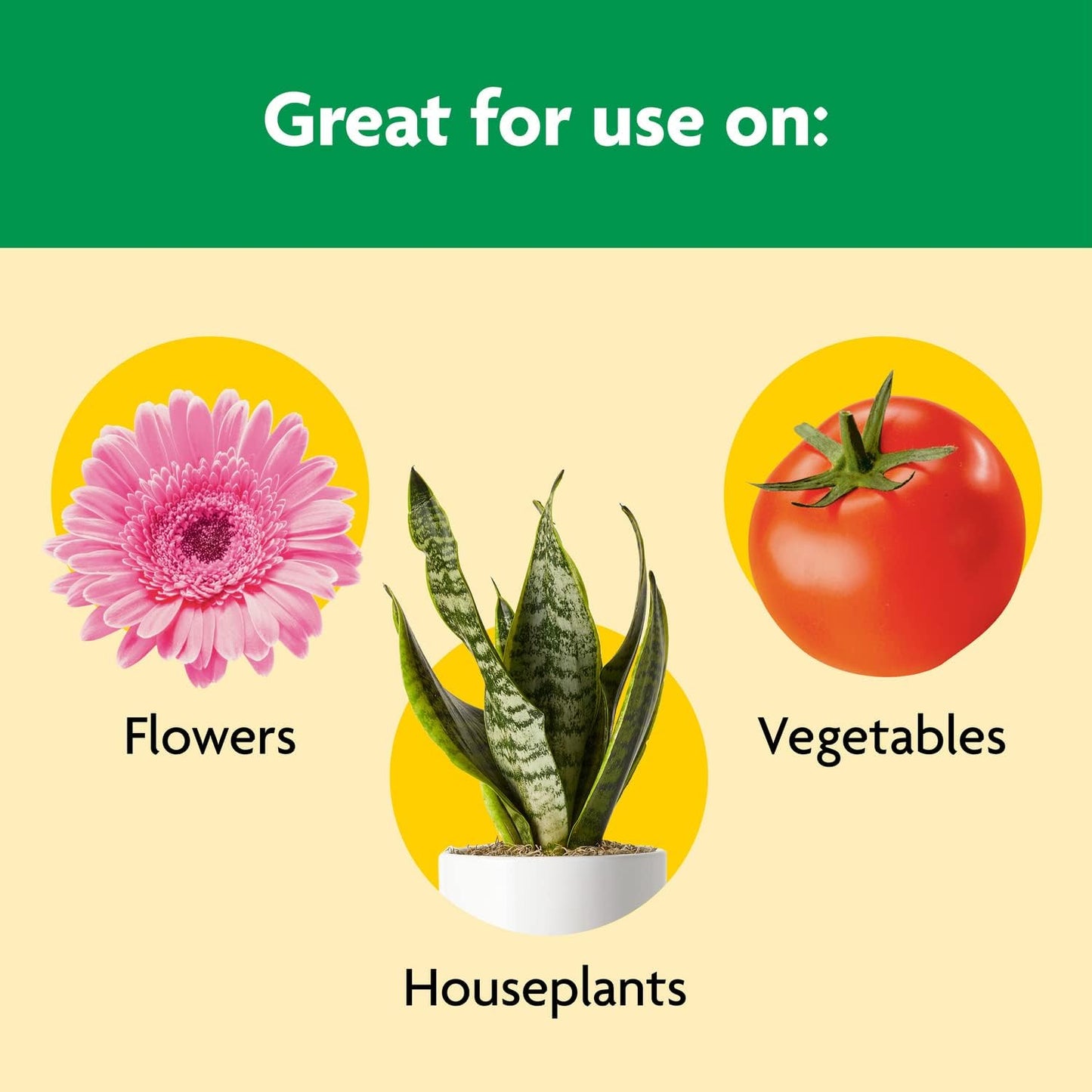 Miracle-Gro All Purpose Plant Food - Feeds Indoor & Outdoor Plants for 3 Months, 4.5 lbs (Pack of 6)
