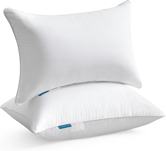 Oubonun Lumbar Pillow Set of 2 | 100% Cotton Decorative Rectangle Inserts - White Sofa Pillows