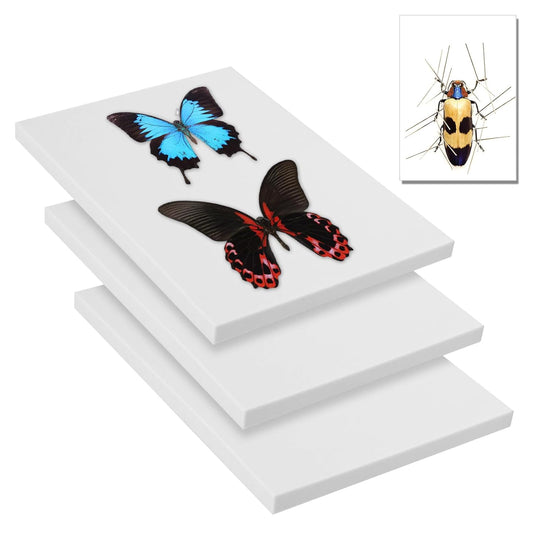 Saihisday Insect Pinning Board Set - 3Pcs EVA Foam Specimen Display Panels for Butterfly Collection