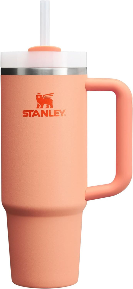 STANLEY Quencher H2.0 Tumbler - 30 oz Insulated Stainless Steel Cup with Handle & Straw | Nectarine