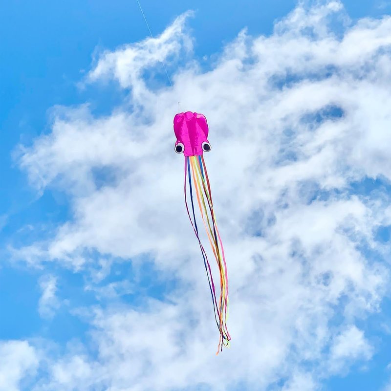 Flying Hoofer Large Octopus Kites(2packs) for Kids and Adults - Easy to Fly, 28X158 3D Software Colorful Kite with Long Tails. Perfect for Beach and Outdoor Activities (Red & Blue).