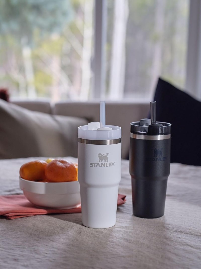 Stanley Quencher H2.0 Tumbler with Straw 14 oz | Flowstate 3-Position Lid | Cup Holder Compatible for Travel | Insulated Stainless Steel Cup | BPA-Free | Ash