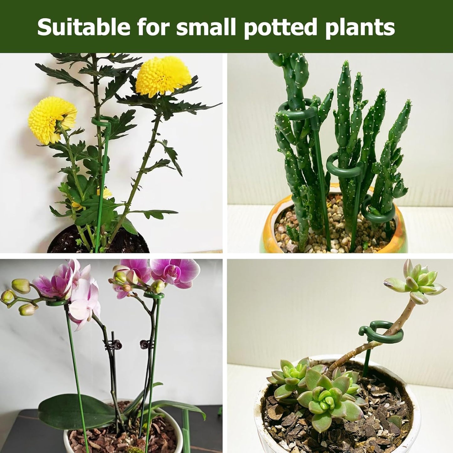 Small Plant Stakes by [Brand Name] - Pack of 30 Indoor Plant Support Stakes | 3 Sizes for Orchids, Roses & Succulents