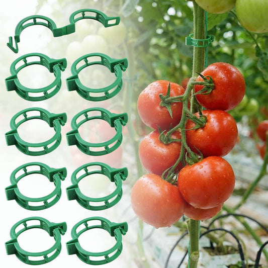 Skiennix 60Pcs Plant Support Clips - Durable Plastic Clips for Securing Tomato Vines & Climbing Plants