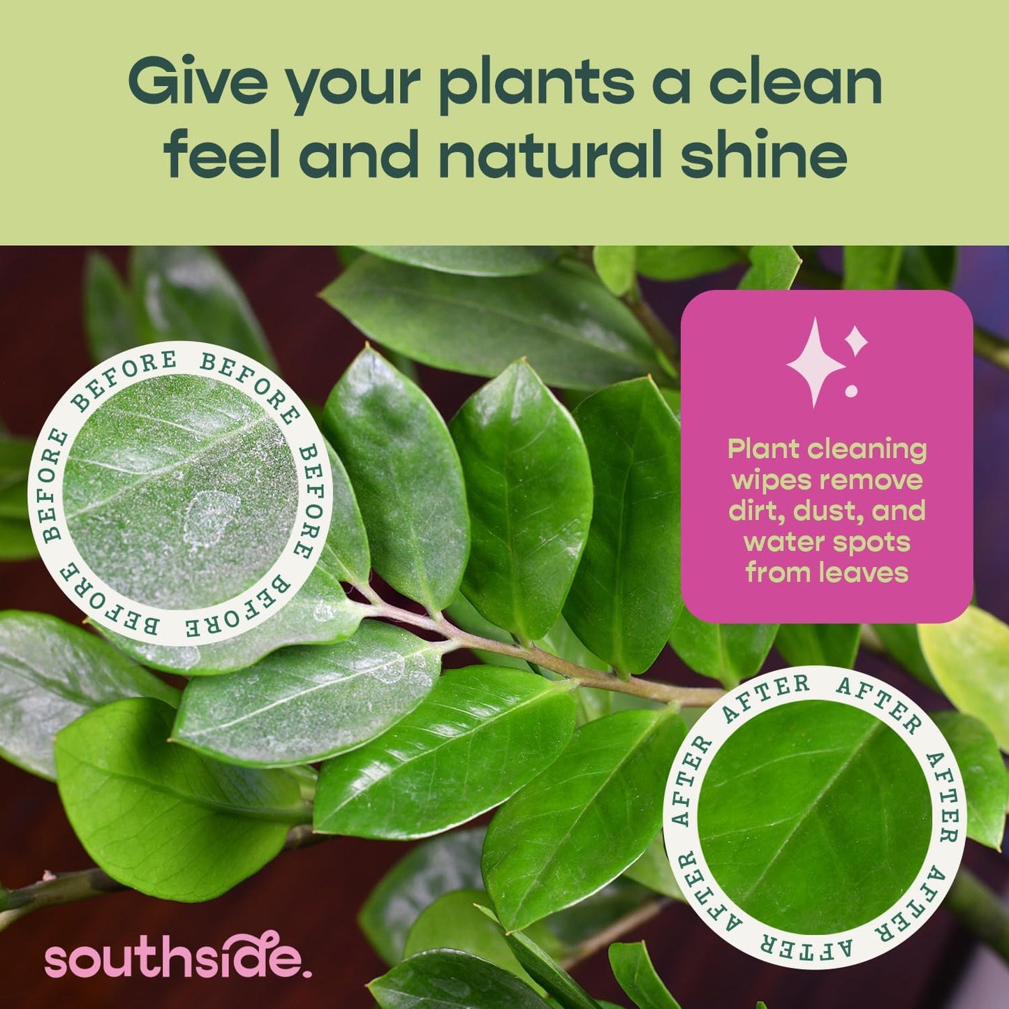 Southside Plants Plant Cleaning Wipes - Gentle, Plant-Based Leaf Wipes for Shiny Leaves | Unscented, Extra Thick - 80 Ct