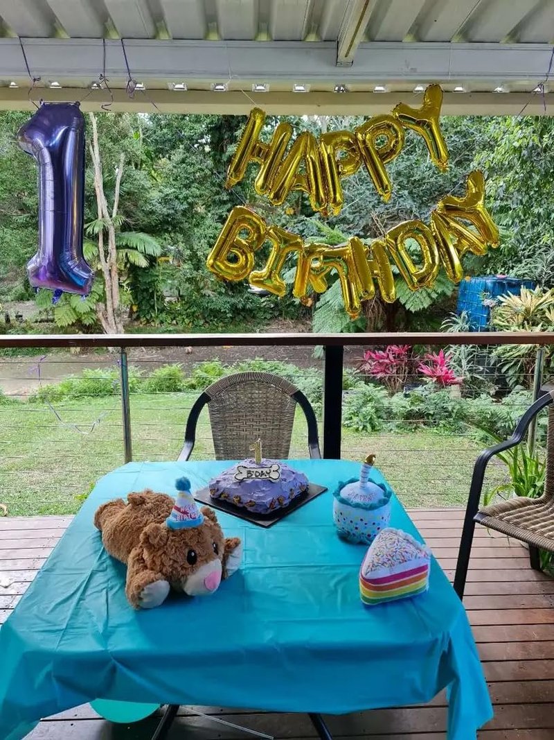 Purple Number 12 Balloon 40 Inch, 12th Birthday Party Decorations for Children, Giant 12 Foil Balloon for Party Supplies