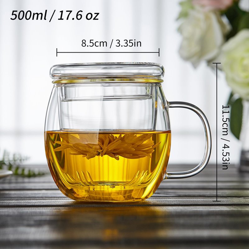 DOPUDO Glass Tea Cup with Infuser and Lid, 17oz/500ml Large Borosilicate Teacup for Loose Leaf Tea, Blooming Tea