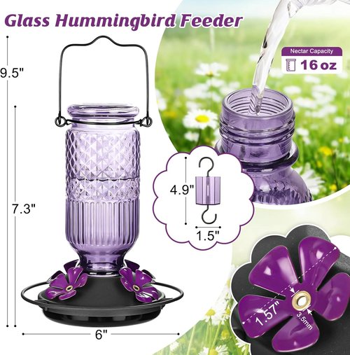 FEED GARDEN Glass Hummingbird Feeder - 16 oz Outdoor Feeder with Bee-Proof Ports & Easy Clean Design | Purple