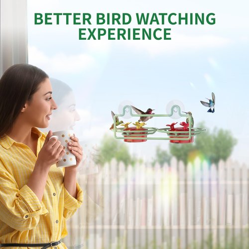 Dreamdrawer Hummingbird Feeder - Small Outdoor Feeder with Strong Suction Cup, Metal Base & 6 Ports
