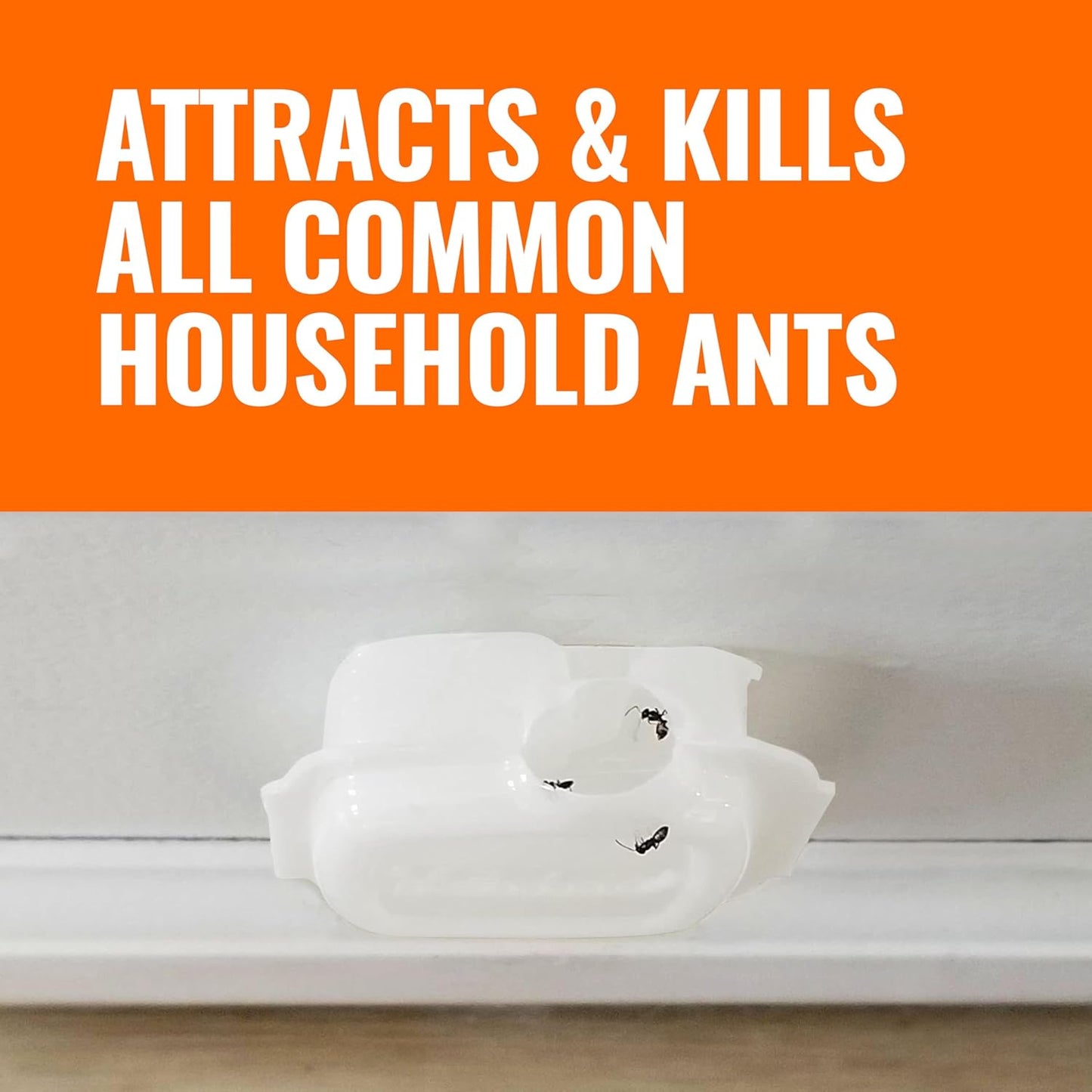 TERRO Indoor Liquid Ant Baits - Discreet Adhesive Strips for Effective Ant Control - 4 Pack