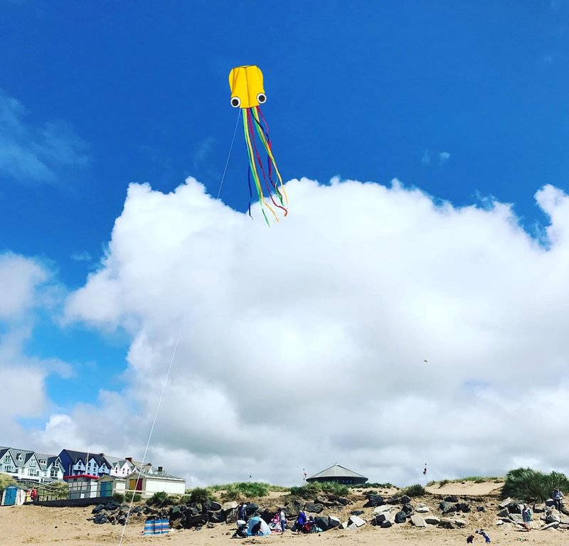 Flying Hoofer Large Octopus Kites(2packs) for Kids and Adults - Easy to Fly, 28X158 3D Software Colorful Kite with Long Tails. Perfect for Beach and Outdoor Activities (Red & Blue).