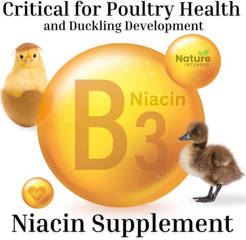 Brewer's Yeast Probiotics Supplement - Enhance Egg Quality & Molt Recovery | 10-Ounce Pouch