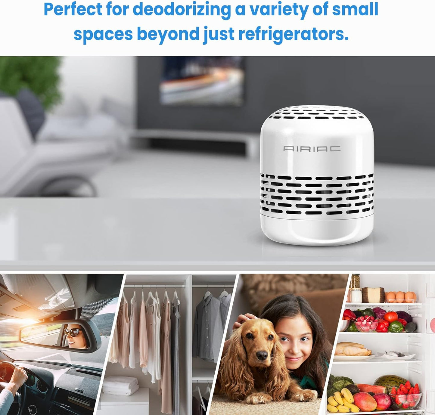 Skiennix Fridge Deodorizer - 10-Year Odor Eliminator | Charcoal Bags for Fresh Refrigerator & Freezer